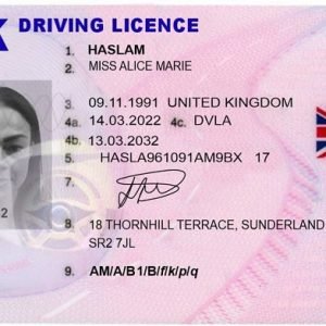Driving License